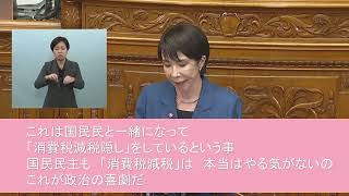 れいわ新選組のクリティカルな質疑 参議院 本会議（2025年11月5日)