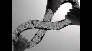 resentment - thanks for nothing (napalm death cover) (2006)