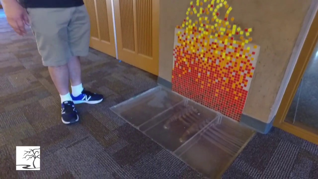 Sustainable Architecture Tour: Desert Living Center Interiors