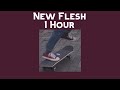 Current Joys - New Flesh || 1 Hour loop