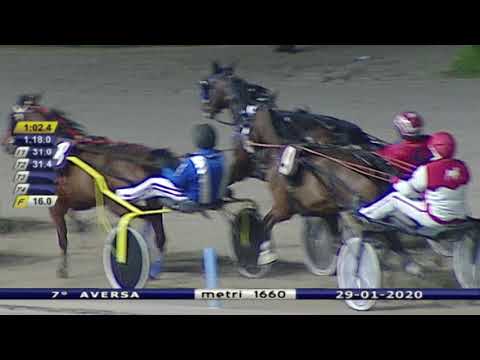 Aversa trotto 29 Gennaio 2020 - 7° Corsa