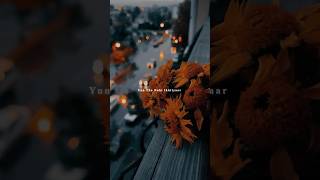 Download lagu Tu Hi Hai Mujko Bata De Chahun Main Ya Na π₯Ίπ | Aashiqui 2 songs | Aesthetic Lyrics #shorts#trending mp3 Download lagu Tu Hi Hai Mujko Bata De Chahun Main Ya Na π₯Ίπ | Aashiqui 2 songs | Aesthetic Lyrics #shorts#trending mp3