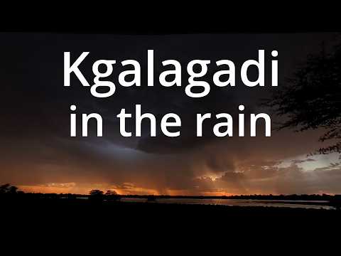Kgalagadi in the rain Ep3: Mosomane Wilderness Trail