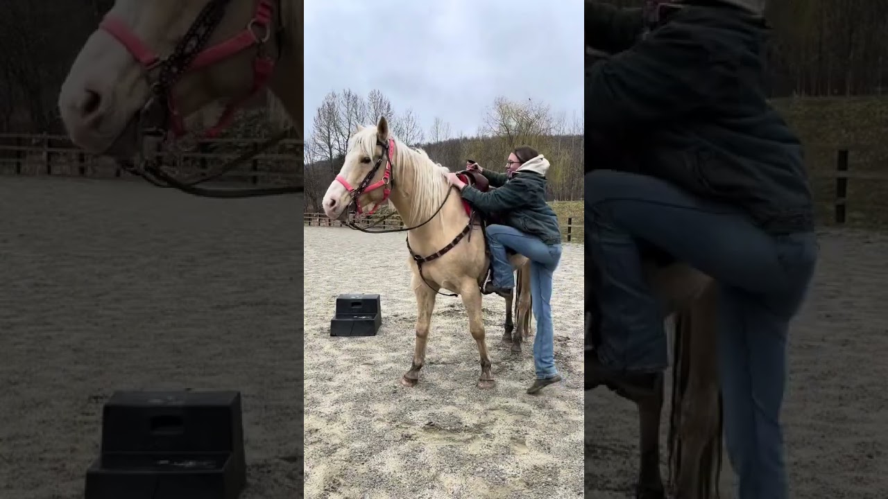 Vidéo externe