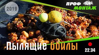 Как ловить только карпа на бойлы