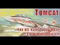 F 14 TOMCAT The US Navy S Ultimate Cold War Fighter