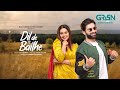Dil De Baithe TELEFILM Muneeb Butt Amar Khan Multiverse Entertainment