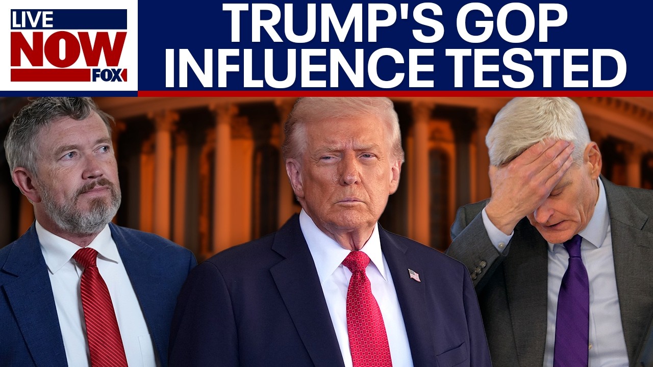 GOP Primaries: Key races test Trump's influence ahead of midterm elections