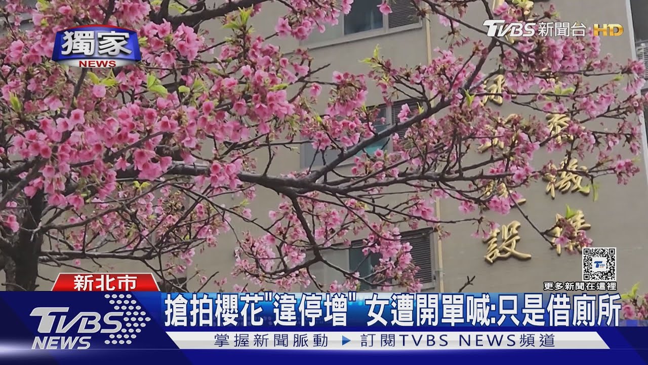 「賞櫻熱點」現違停亂象 警一週開30罰單