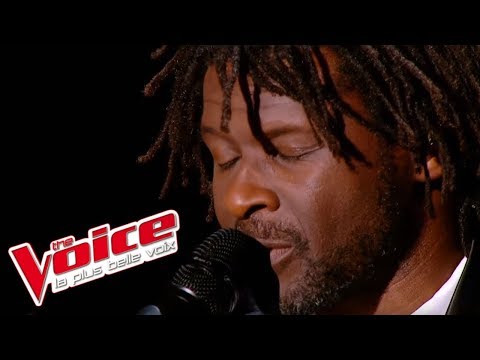 Johnny Nash – I Can See Clearly Now | Emmanuel Djob | The Voice France 2013 | Prime 3 Video