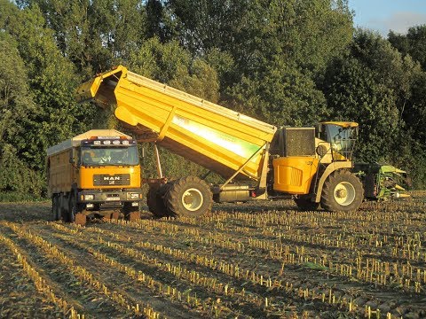 Ensileuse à Bac | Pro DX | Ensilage de Maïs 2017 en Belgique