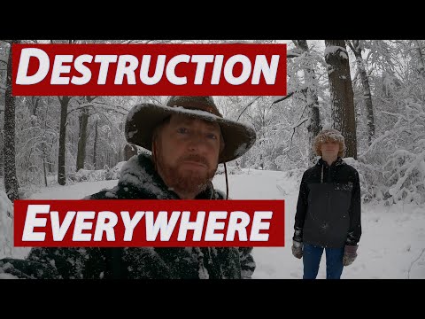 Disaster Blizzard Snow Storm in Virginia | Trees Snapping Every Minute | Unbelievable!