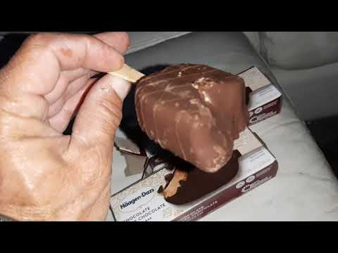 Haagen-Dazs chocolate dark chocolate ice cream bar
