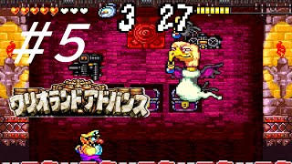 ヒヨコの産みの親【ワリオランドアドバンス ヨーキのお宝】#5