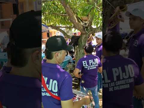 Banda 14 De Septiembre De La Unión Sucre #tradicionesdemipueblonatal #launionsucre