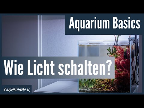 Wie schalte ich das Licht in meinem Aquarium ein und aus? | Aquarium Basics