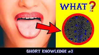 Facts About Human Body | Tongue And Test Buds | Short Knowledge ( Ep:- 3 )