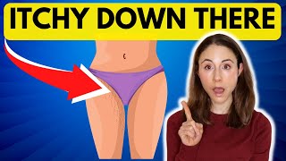 Itchy Down There? HOW TO STOP GENITAL ITCH *Dermatologist* @DrDrayzday