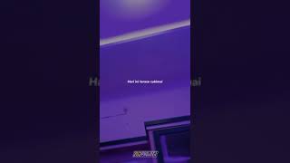Download lagu Story wa halu mp3