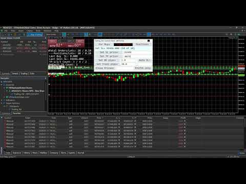 Video Trading Pal MT5