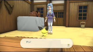 正体は○○！？サブ任務16「真夜中の怪現象」ムービー【Pokémon LEGENDS アルセウス】