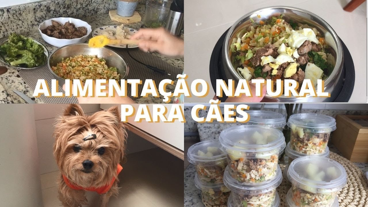Alimentação Natural para Pet | Marmitas