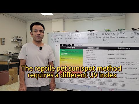 Different UV Index Range for Reptiles #uvindex #uvb #uvc #uva #reptile #uvmeter #uvbmeter
