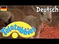Teletubbies Auf Deutsch Lämmer