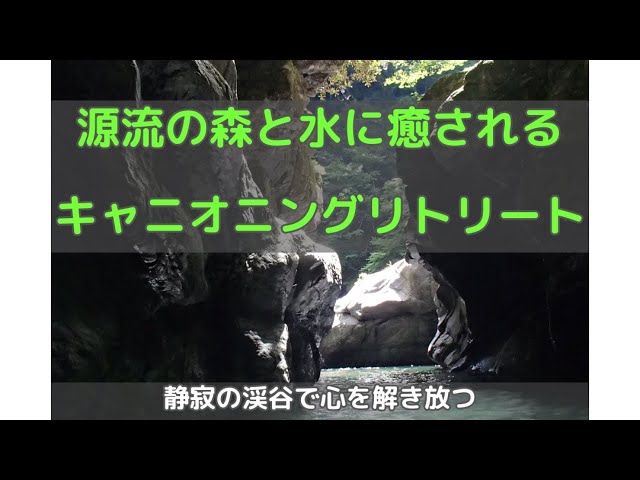 ワイルドウインド