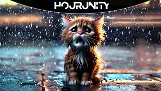 Download lagu 1 HOUR | MIAW MIAW MIAW MIAW SAD CAT (VIRAL TIKTOK SONG) - Bongo Cat mp3 Download lagu 1 HOUR | MIAW MIAW MIAW MIAW SAD CAT (VIRAL TIKTOK SONG) - Bongo Cat mp3