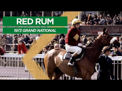 Classic Grand National No. 1 - Red Rum (1973)