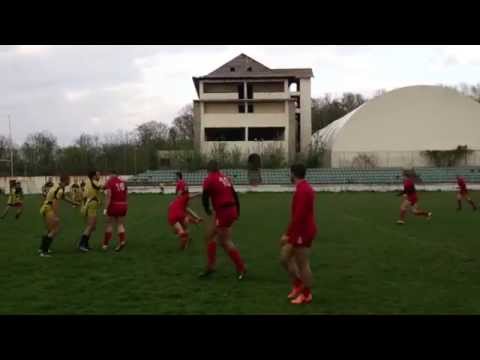 RLK Crvena Zvezda, akcija, esej