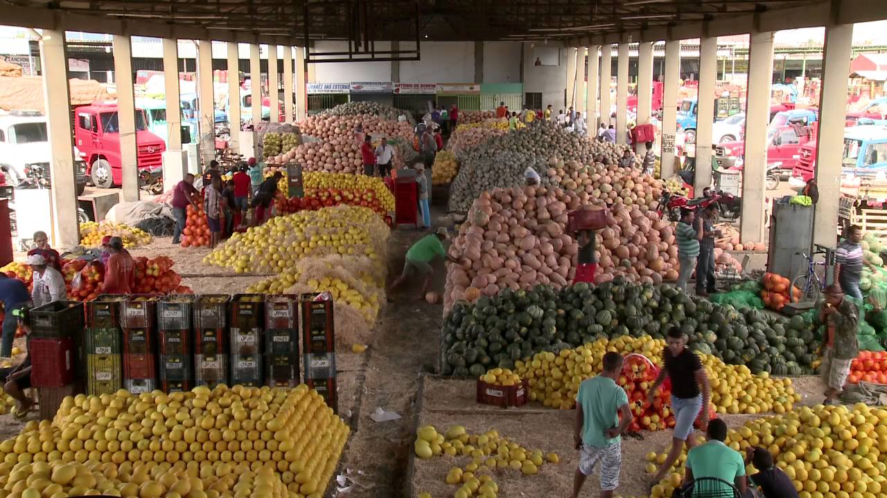 Caminhos da Reportagem | Velho Chico: esperança do sertão