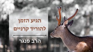 הרב פנגר - הגיע הזמן להוריד את הקרניים???? (הרב יצחק פנגר) - התמונה מוצגת ישירות מתוך אתר האינטרנט יוטיוב. זכויות היוצרים בתמונה שייכות ליוצרה. קישור קרדיט למקור התוכן נמצא בתוך דף הסרטון הרב פנגר - הגיע הזמן להוריד את הקרניים???? (הרב יצחק פנגר) - התמונה מוצגת ישירות מתוך אתר האינטרנט יוטיוב. זכויות היוצרים בתמונה שייכות ליוצרה. קישור קרדיט למקור התוכן נמצא בתוך דף הסרטון
