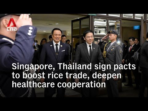 Singapore and Thailand ink healthcare, rice trade deal to boost food security