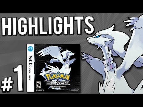 Pokemon Black Randomizer Nuzlocke | PART 1