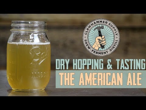 Dry Hopping and Tasting an "Easy" American Ale