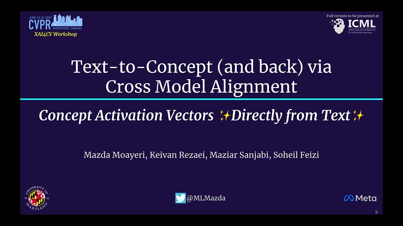 P11 - Text2Concept: Concept Activation Vectors Directly From Text