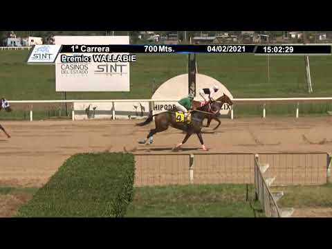 04/02/2021 – Hipodromo Paysandu – Carr 1 – WALLABIE