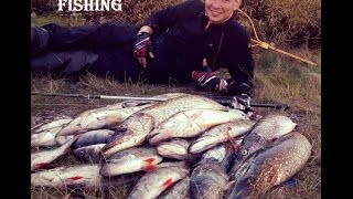 Где ловить щуку на рыбинском водохранилище осенью