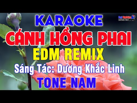 Cánh Hồng Phai EDM Remix (Karaoke Beat) Tone Nam Nhạc Sống Cực Sung, Dễ Hát || Karaoke Đại Nghiệp