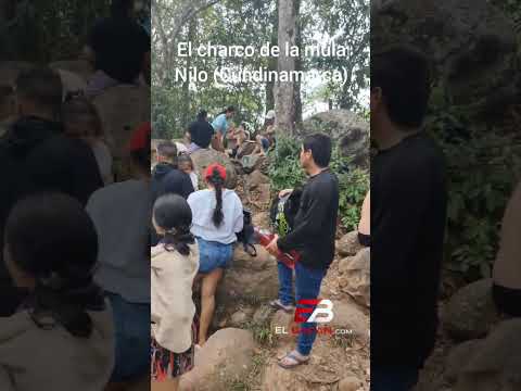 el charco de la mula en nilo Cundinamarca