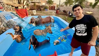 Download lagu Sab Pet Ko Swimming Pool Main Nehla Dia 😍 mp3 Download lagu Sab Pet Ko Swimming Pool Main Nehla Dia 😍 mp3
