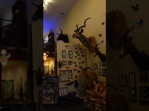 Play Video Youtube Video