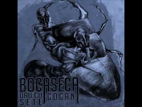 BocaSeca-Anturaje de Seara (prod. Gogan)