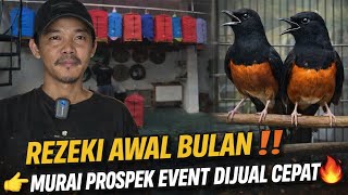 Download lagu REZEKI AWAL BULAN ‼️MURAI PROSPEK SIAP MAIN KELAS EVENT DIJUAL CEPAT 🔥 | M2 GALERI 101 mp3
