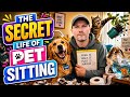 A Day In The Life Of A Dog Walker Pet Sitter Cute Dogs Chaos What Owners Don T See