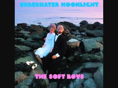 The Soft Boys - Where Are The Prawns