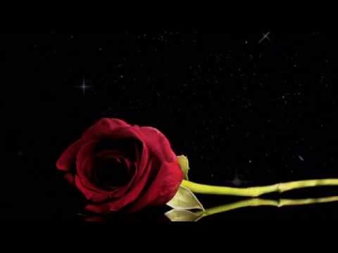 انا احبك ريم المحمودي