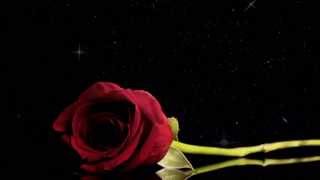 كلمات اغنية انا احبك ريم المحمودي